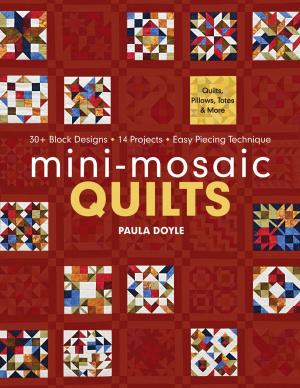 bigCover of the book Mini-Mosaic Quilts by 