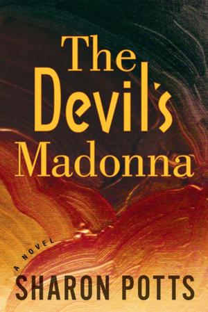 Book cover of The Devil's Madonna