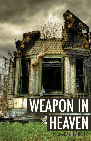 Cover of the book Weapon In Heaven by Stephen Beachy
