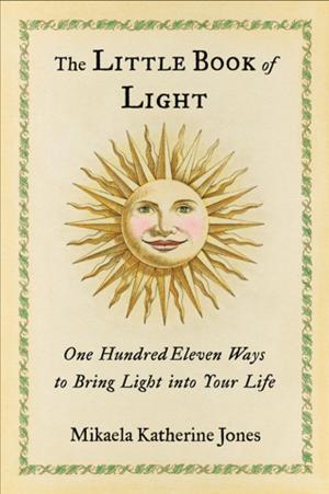 Cover of the book The Little Book of Light by Patricia Lynn Reilly