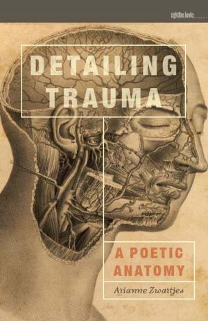 Cover of the book Detailing Trauma by Paul Booth