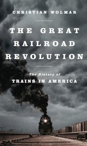 Cover of the book The Great Railroad Revolution by Meredith Hindley