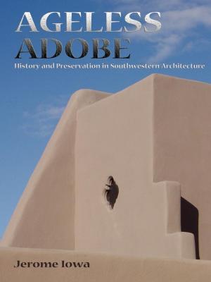 Cover of the book Ageless Adobe by Andrew Grof