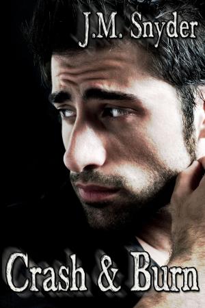 Cover of the book Crash and Burn by Samantha A. Cole