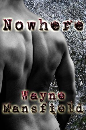 Cover of the book Nowhere by J.M. Snyder