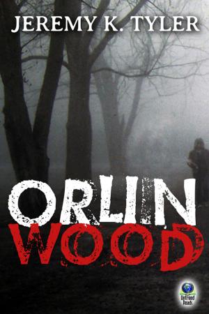 Cover of the book Orlin Wood by Leonora Blythe