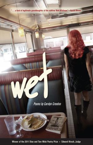 Cover of the book Wet by Mark A. Snell