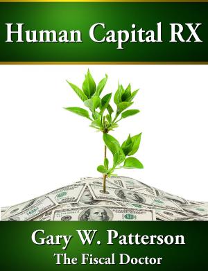 Cover of the book Human Capital RX by Terri Levine, Ph.D.