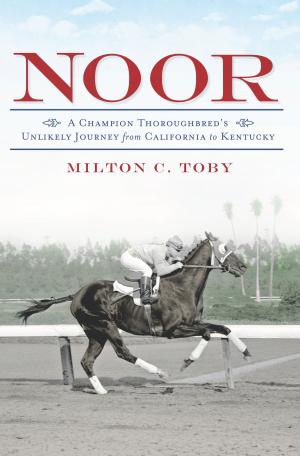 Cover of the book Noor by Mark Healy