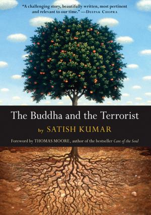 Book cover of The Buddha and the Terrorist