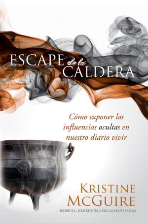 Cover of the book Escape de la caldera by Ron Allen