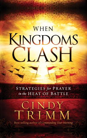 Cover of the book When Kingdoms Clash by Teri Sawyer Brady