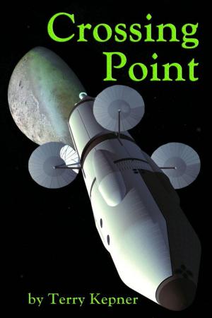 Cover of the book Crossing Point by Linda Nagata