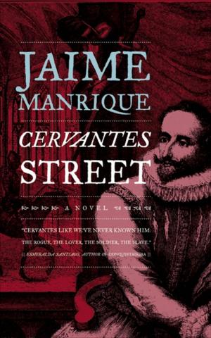 Cover of the book Cervantes Street by Jacques Filippi, John McFetridge
