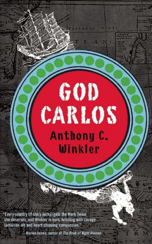 Cover of the book God Carlos by Preston L. Allen