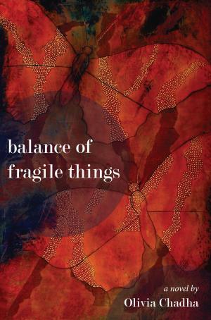 bigCover of the book Balance of Fragile Things: A Novel by 
