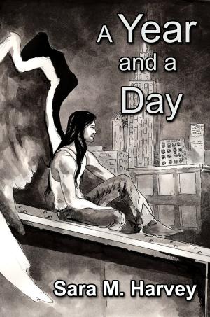 Cover of the book A Year and a Day by M. P. Little