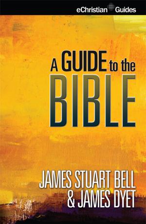 Cover of the book A Guide to the Bible by David Veerman