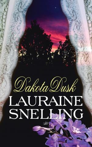 Book cover of Dakota Dusk