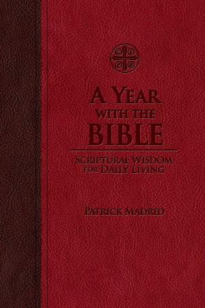 Book cover of A Year with the Bible