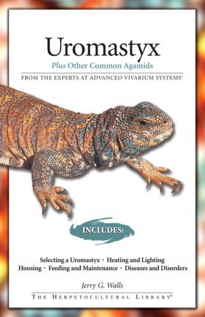 Cover of the book Uromastyx by David Harris