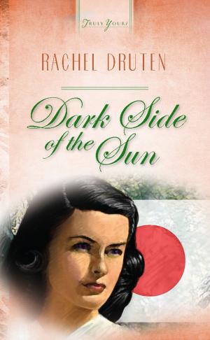 Cover of the book Dark Side Of The Sun by Helen Steiner Rice
