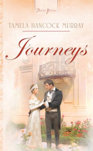 Cover of the book Journeys by Wanda E. Brunstetter