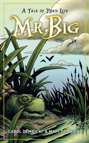 Book cover of Mr. Big
