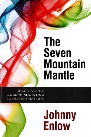 Cover of the book The Seven Mountain Mantle by Ron Phillips, DMin