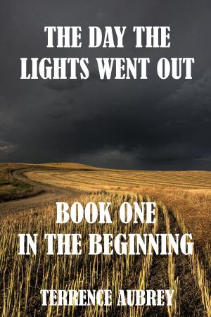 Cover of the book The Day The Lights Went Out: In The Beginning by Terrence Aubrey
