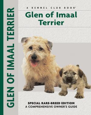 Cover of the book Glen of Imaal Terrier by Barbara J. Andrews, Meg Purnell Carpenter, Meg Purnell-Carpenter