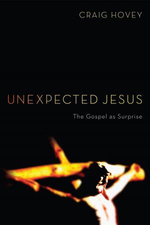 Book cover of Unexpected Jesus