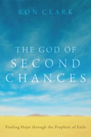 Book cover of The God of Second Chances
