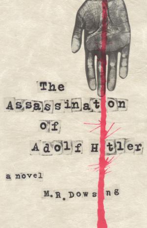 Cover of the book The Assassination of Adolf Hitler by Hugh Stephens
