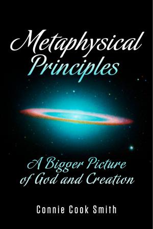 Cover of the book Metaphysical Principles by Mike Hall