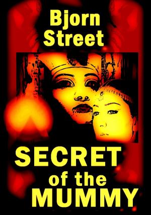 Cover of the book Secret of the Mummy by Ladejola Abiodun