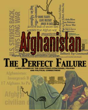 Cover of the book Afghanistan: The Perfect Failure by Dirk Montapert, Nicole Buetti