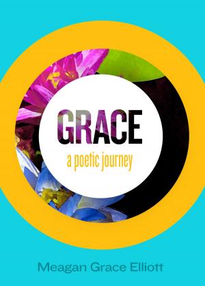 Cover of the book Grace – A Poetic Journey by Stu Jenks