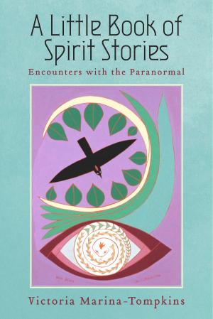 Cover of the book A Little Book Of Spirit Stories by Sandra McCoy