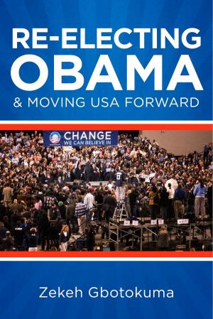 Cover of the book Re-Electing President Obama & Moving USA Forward by DM Archer