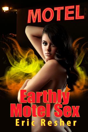 Book cover of Earthly Motel Sex