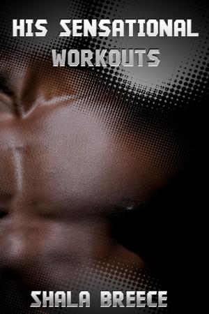 Cover of the book His Sensational Workouts by Dakota Deece