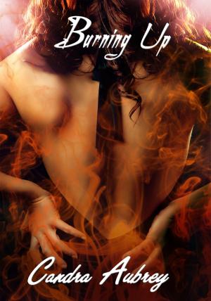 Cover of the book Burning Up by Arielle Fossett