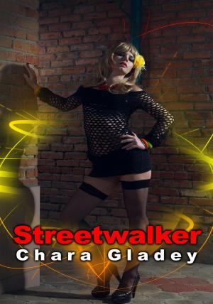 Cover of the book Streetwalker by Breana Kohr