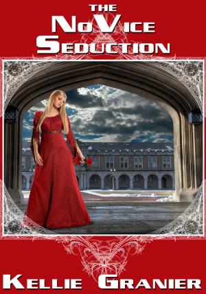Book cover of The Novice Seduction