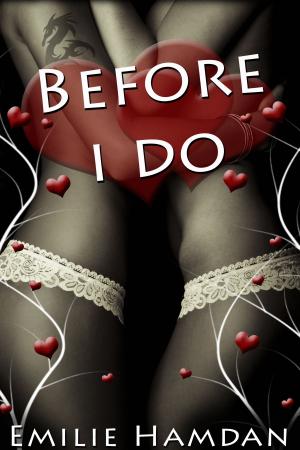 Cover of the book Before I Do by Nichole Rogue