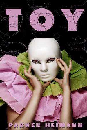 Cover of the book Toy by Candra Aubrey