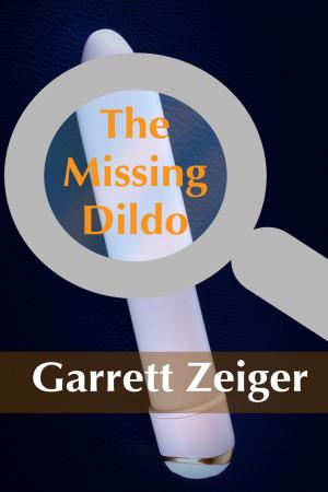 Cover of the book The Missing Dildo by Shala Breece