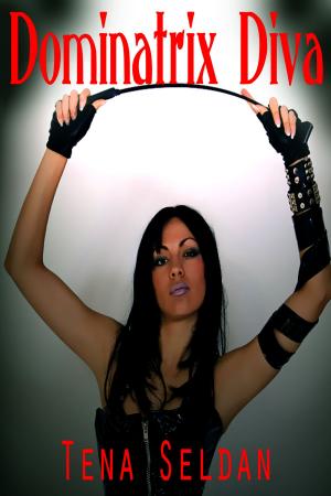 Cover of the book Dominatrix Diva by Helana Parkins