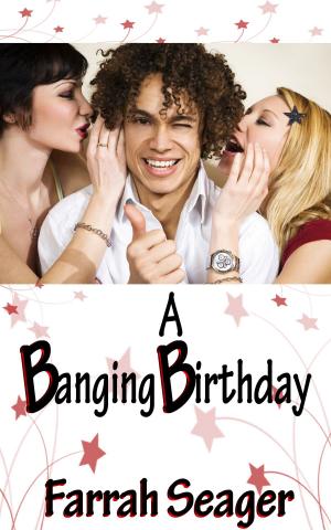 Cover of the book A Banging Birthday by Carrice McKelvy